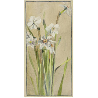 White Narcissus with Gray Accents-Paper Art-26"x50"