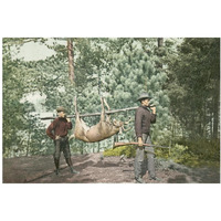 Hunting, Adirondacks, N.Y., 1898-Paper Art-38"x26"