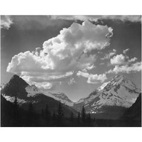 Trees in Glacier National Park, Montana - National Parks and Monuments, 1941-Paper Art-24"x19"