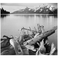 Driftwood on shore of Jackson Lake, with Teton Range in background, Grand Teton National Park, Wyoming, 1941-Paper Art-18"x17"