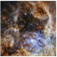 Star Cluster R136-Paper Art-26"x26"