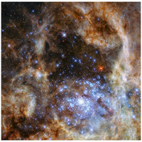 Star Cluster R136-Paper Art-42"x42"