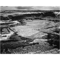 Corn Field, Indian Farm near Tuba City, Arizona, in Rain, 1941-Paper Art-24"x20"