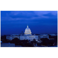 U.S. Capitol, Washington, D.C. #2-Paper Art-42"x28"