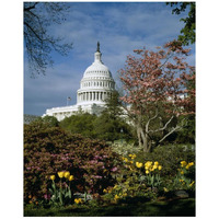 U.S. Capitol, Washington, D.C. Number 3-Paper Art-22"x26"