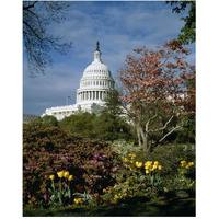 U.S. Capitol, Washington, D.C. Number 3-Paper Art-24"x30"