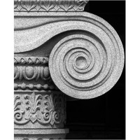 Column detail, U.S. Treasury Building, Washington, D.C. - Black and White Variant-Paper Art-24"x30"