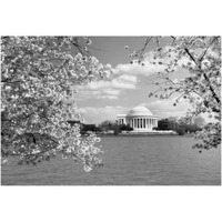 Jefferson Memorial with cherry blossoms, Washington, D.C. - Black and White Variant-Paper Art-38"x26"