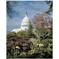 U.S. Capitol, Washington, D.C. Number 3 - Vintage Style Photo Tint Variant-Paper Art-18"x22"