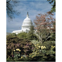 U.S. Capitol, Washington, D.C. Number 3 - Vintage Style Photo Tint Variant-Paper Art-24"x30"