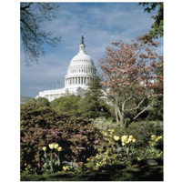 U.S. Capitol, Washington, D.C. Number 3 - Vintage Style Photo Tint Variant-Paper Art-30"x37"