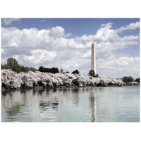 Washington Monument, Washington, D.C. - Vintage Style Photo Tint Variant-Paper Art-42"x32"