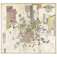 City of Houston and environs, 1895-Paper Art-24"x22"