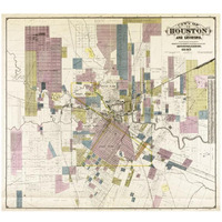 City of Houston and environs, 1895-Paper Art-32"x29"