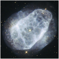 NGC 6153 - A Nitrogen-Rich Nebula-Paper Art-26"x26"