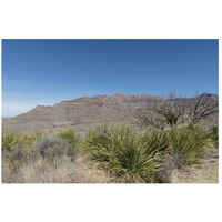 Scenery in Big Bend National Park, TX-Paper Art-26"x18"
