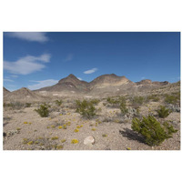Scenery in Big Bend National Park, TX-Paper Art-32"x22"