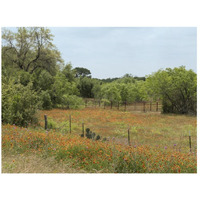 Field of wildflowers in Gonzales County, TX-Paper Art-26"x20"