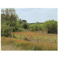 Field of wildflowers in Gonzales County, TX-Paper Art-34"x26"