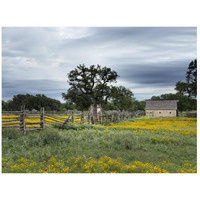 A beautiful wildflower array in a meadow in Johnson City, TX-Paper Art-26"x20"
