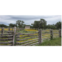 Vivid field of wildflowers in the Lyndon B. Johnson National Historical Park in Johnson City, TX-Paper Art-62"x32"