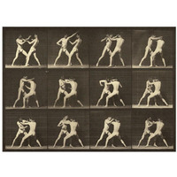 Motion Study: Men Fighting-Paper Art-34"x26"