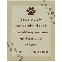 Mark Twain: Cross Man and Cat-Paper Art-22"x26"
