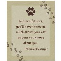 Michel de Montaigne: Nine Lifetimes-Paper Art-30"x37"