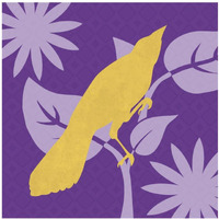 Bright Birds: Jay-Paper Art-38"x38"