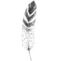 Spirit Feather VIIIa -Paper Art-14"x38"