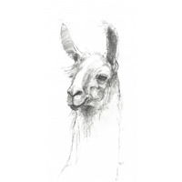Bianca Pencil -Paper Art-14"x26"