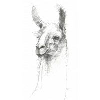Bianca Pencil -Paper Art-32"x62"