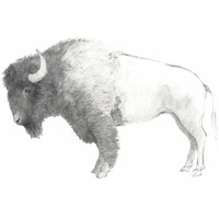 Bison Dark -Paper Art-26"x22"