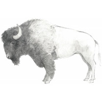 Bison Dark -Paper Art-30"x24"