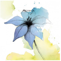 Watercolor Graphite Flower V -Paper Art-26"x26"