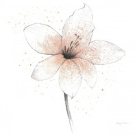 Coral Graphite Flower II -Paper Art-38"x38"
