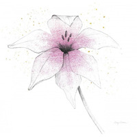 Pink Graphite Flower V -Paper Art-26"x26"