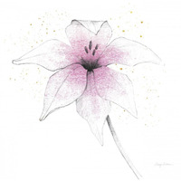 Pink Graphite Flower V -Paper Art-38"x38"