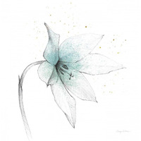 Teal Graphite Flower VIII -Paper Art-20"x20"