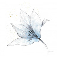 Blue Graphite Flower IX -Paper Art-38"x38"