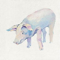 Horatio -Paper Art-38"x38"