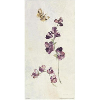 Wild Wallflowers I -Paper Art-26"x50"