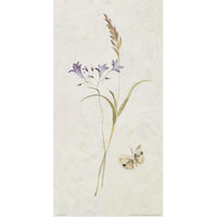 Wild Wallflowers III -Paper Art-20"x38"