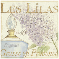 Fleurs Parfums IV -Paper Art-42"x42"