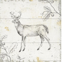 Wild and Beautiful VI -Paper Art-38"x38"