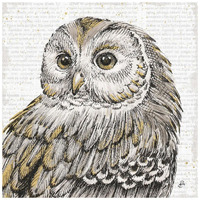 Beautiful Owls I -Paper Art-20"x20"