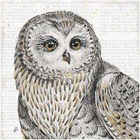 Beautiful Owls II -Paper Art-32"x32"