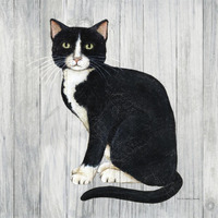 Country Kitty I on Wood -Paper Art-38"x38"