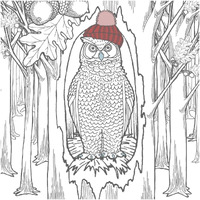 Color the Forest Color V -Paper Art-42"x42"