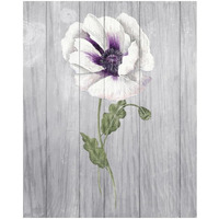 Poppy II -Paper Art-22"x26"